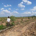 lấn chiếm đất