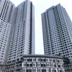 Dự án Sunrise Cityview