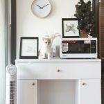 Processed with VSCO with a4 preset