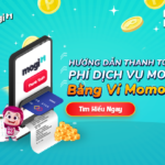 thanhtoanmomo_intro_4