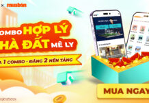 Combo hợp lý – Nhà đất mê ly